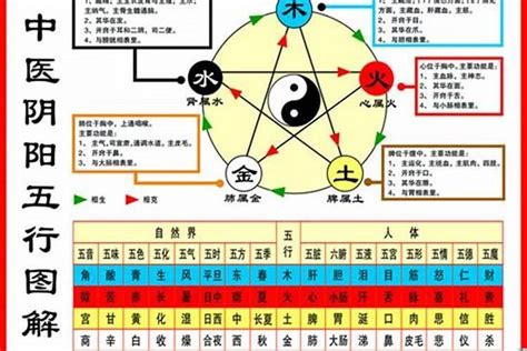 1984五行|1984年属鼠是什么命，84年出生五行属什么